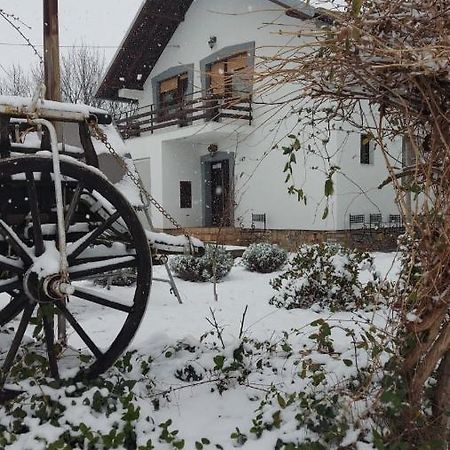 Moj Salas Novi Sad Bagian luar foto
