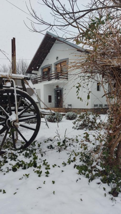 Moj Salas Novi Sad Bagian luar foto